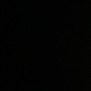 Meet your Posher, Randall